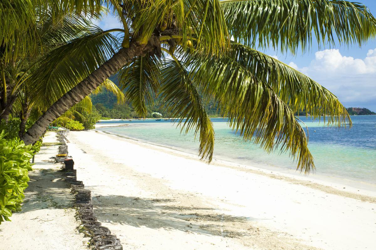 Indian Ocean Lodge Grand Anse  Bagian luar foto