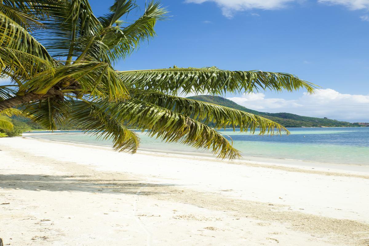 Indian Ocean Lodge Grand Anse  Bagian luar foto